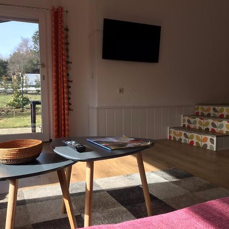 Modernes Ferienhaus Willingen Willingen  Exteriér fotografie